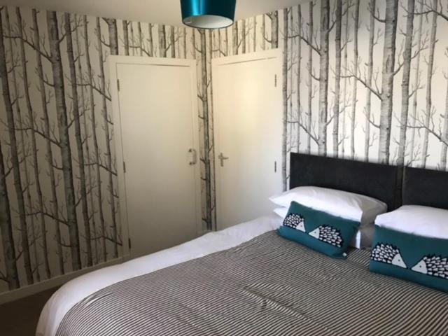 Thurso Self Catering Pet Friendly Holiday Lets Экстерьер фото